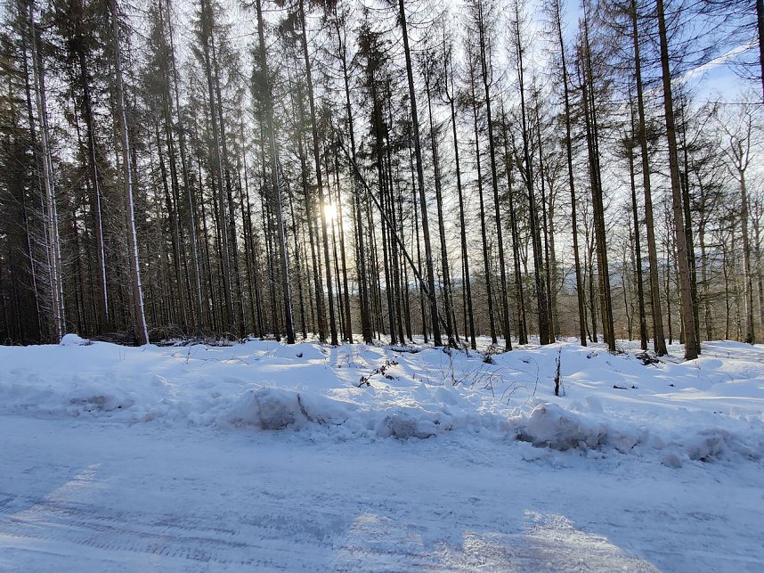 Ausflug zum Josephskreuz