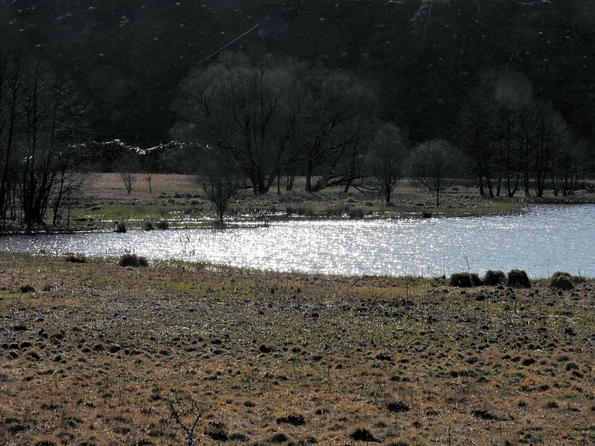 Osterspaziergang mit Peter Blei