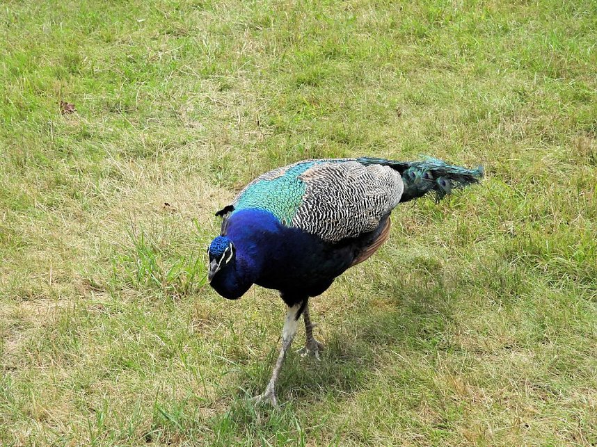 Im W&ouml;rlitzer Park