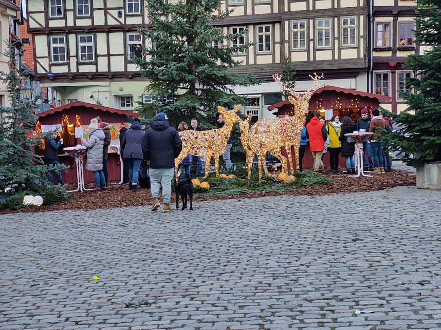 Auf dem Quedlinburger Weihnachtsmarkt