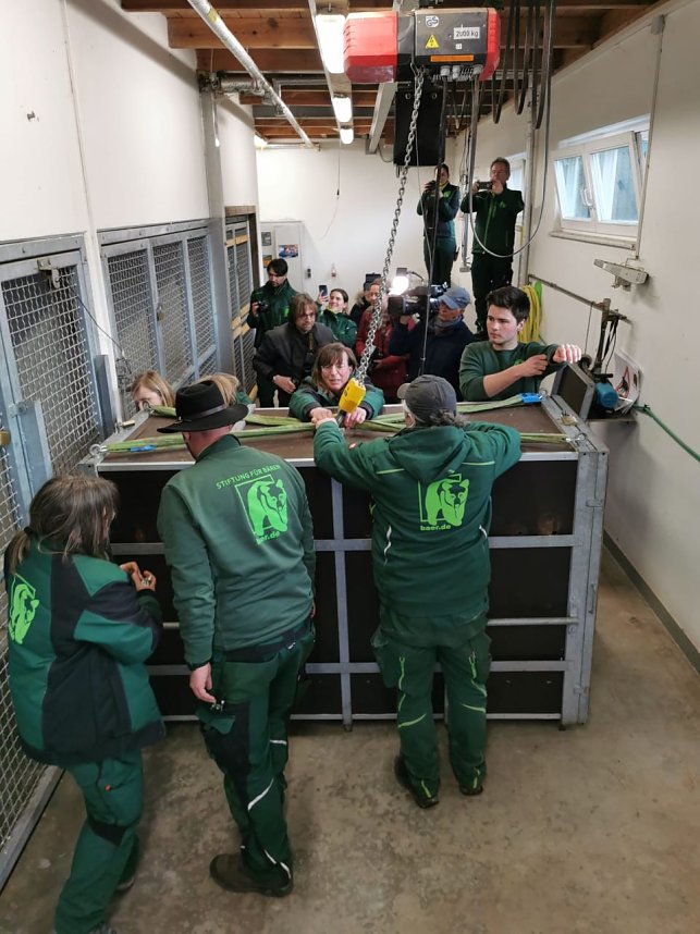 Eine ungew&ouml;hnliche Rettungsaktion f&uuml;hrte die Mitarbeiter des B&auml;renparks bis in die Ukraine