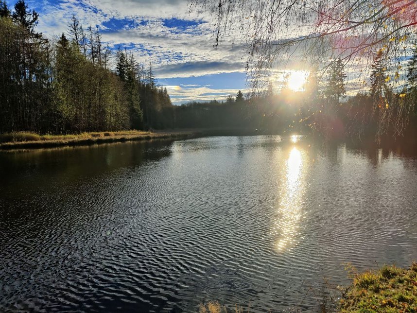 Peter Blei unterwegs im Harz