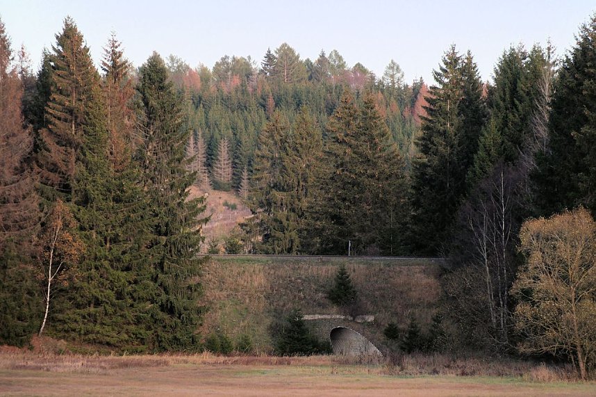 Peter Blei unterwegs im Harz
