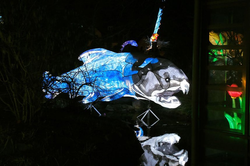 Peter Blei in den magischen Lichterwelten