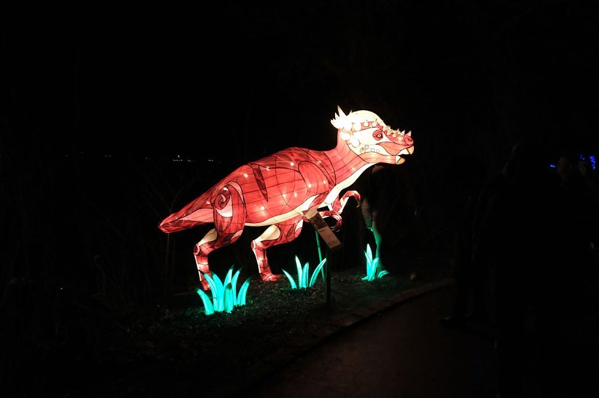 Peter Blei in den magischen Lichterwelten