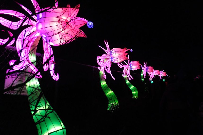 Peter Blei in den magischen Lichterwelten