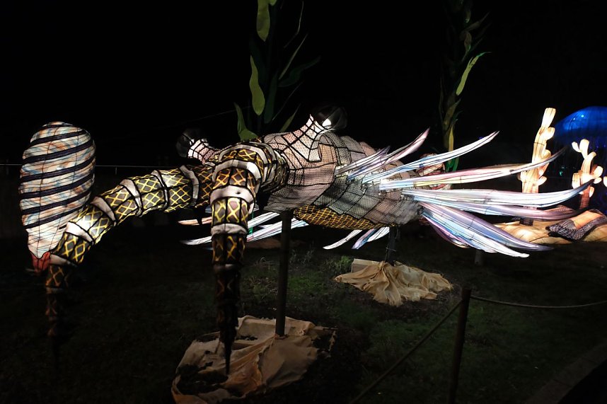 Peter Blei in den magischen Lichterwelten