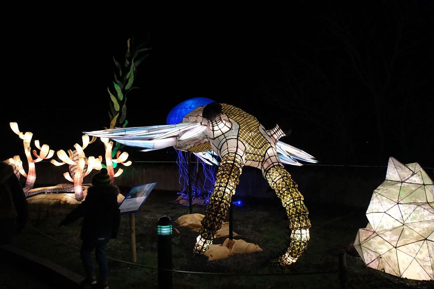 Peter Blei in den magischen Lichterwelten