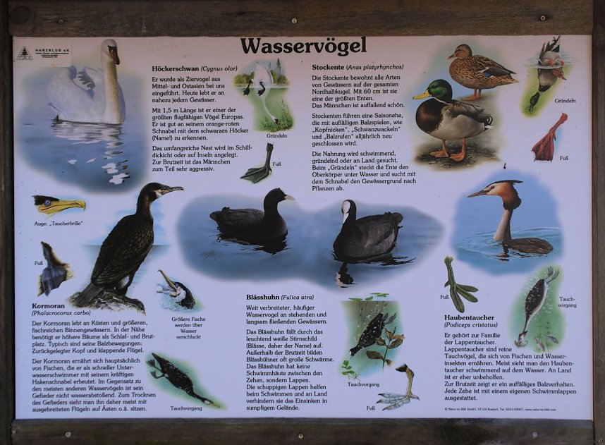 Peter Blei unterwegs an der Hasselvorsperre