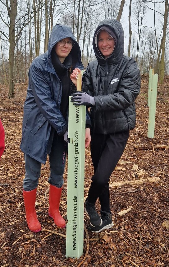 Gymnasiasten pflanzen B&auml;ume