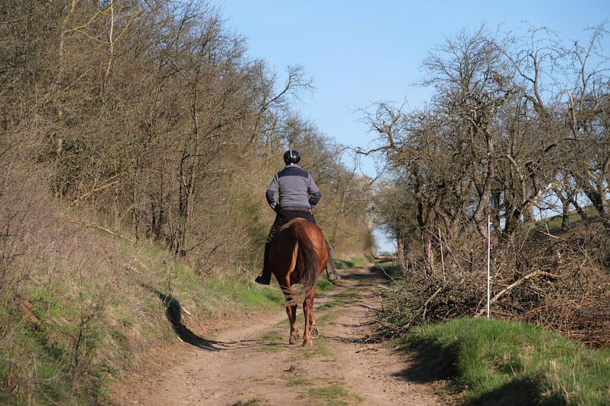 Osterspaziergang im Vorharz