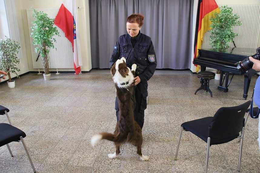 Besuch bei der Nordh&auml;user Hundestaffel