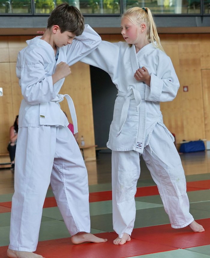 Pr&uuml;fungstag bei den Leinefelder Kampfsportlern