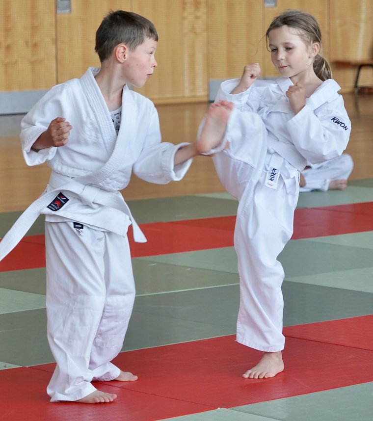 Pr&uuml;fungstag bei den Leinefelder Kampfsportlern