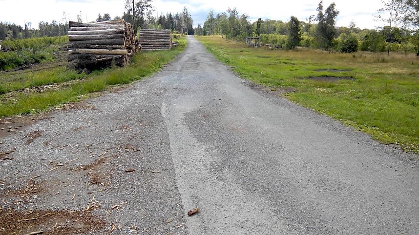 Der Weg vom Grillplatz in Richtung "Waldschl&ouml;sschen", der einst von hohen Fichten rechts und links flankiert war.