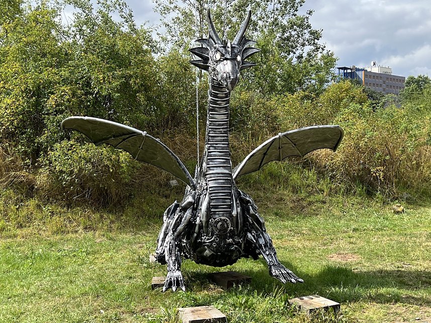 Drachen-Alarm am Sundh&auml;user Kiesteich