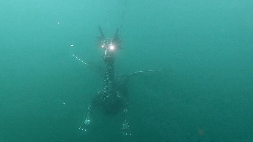 Drachen-Alarm am Sundh&auml;user Kiesteich