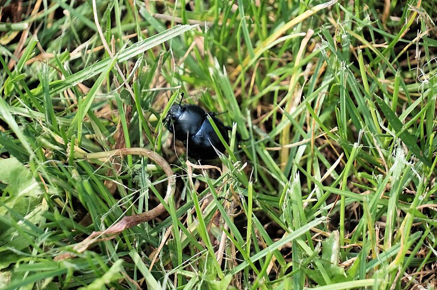 Peter Blei unterwegs auf der Sachsenburg