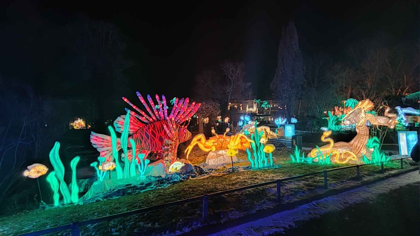 Peter Blei unterwegs in magischen Lichterwelten