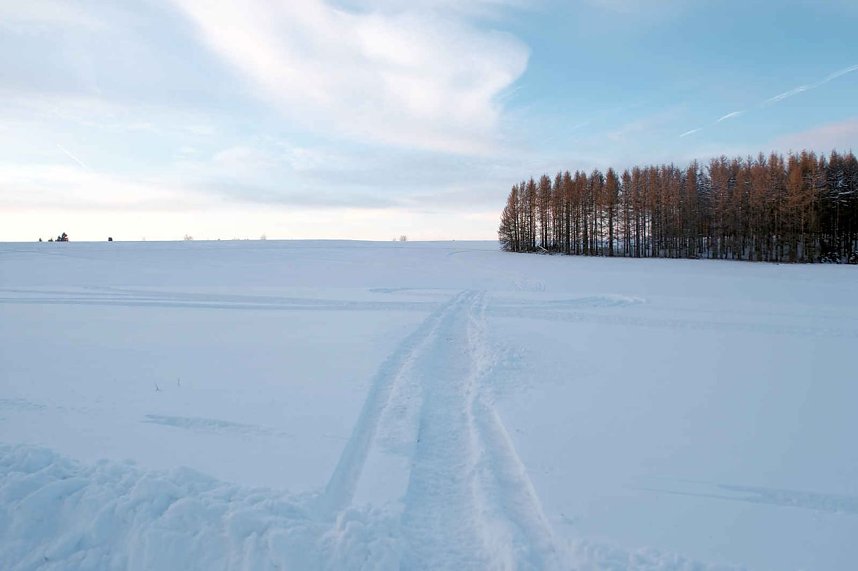 Wunderbare Winterlandschaft bei Benneckenstein