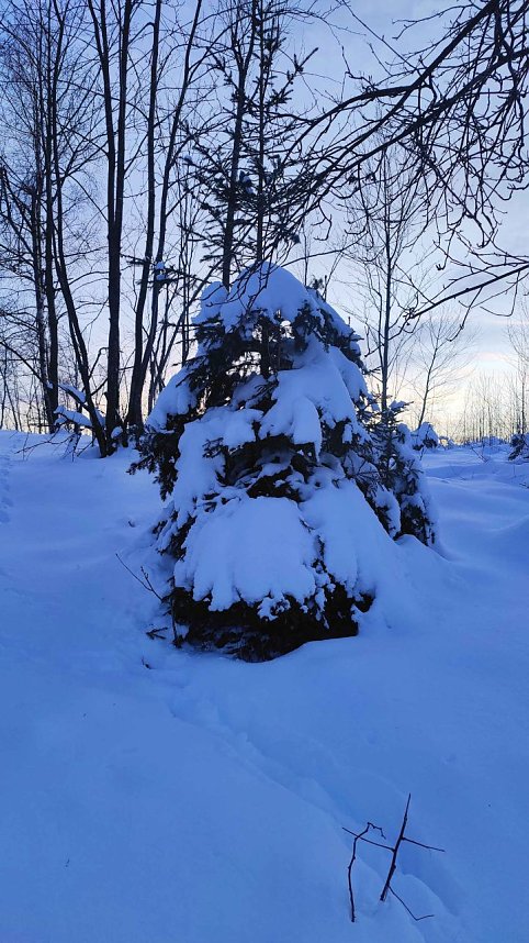 Wunderbare Winterlandschaft bei Benneckenstein