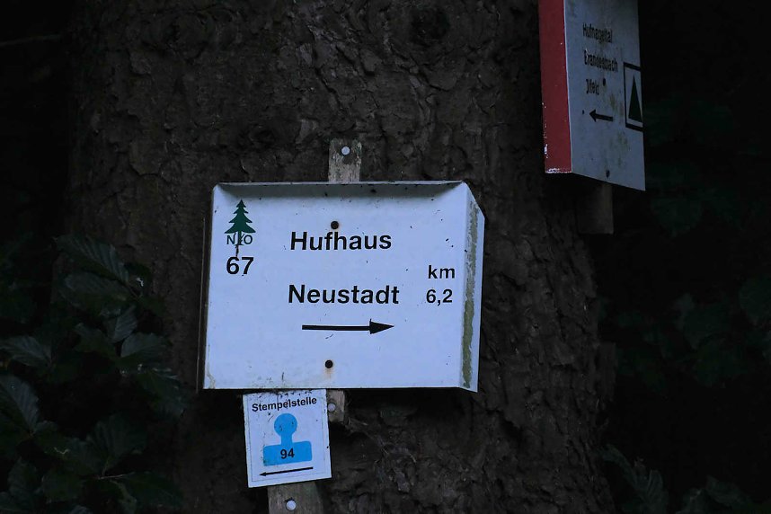 Peter Blei beim Waldspaziergang