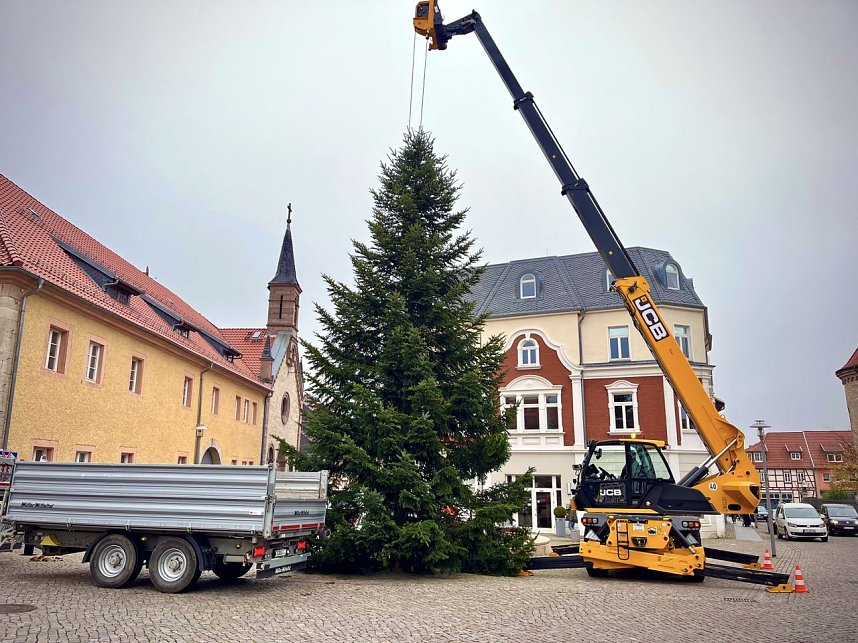 Der erste Weihnachtsbaum steht