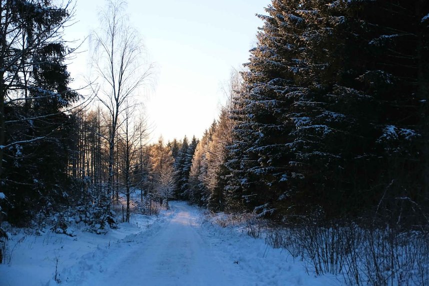 Winterlicher Harzausflug mit Kamera