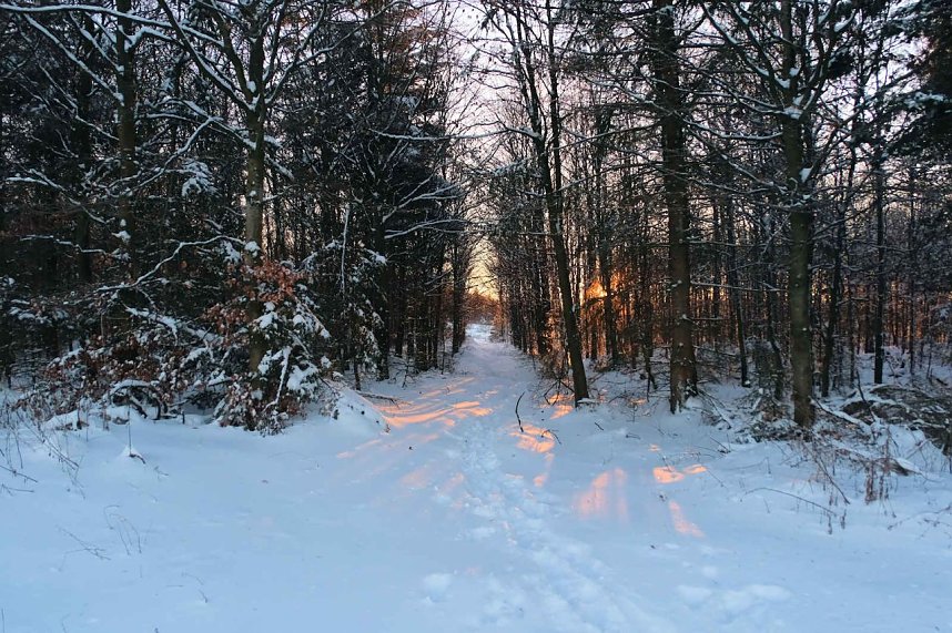Winterlicher Harzausflug mit Kamera