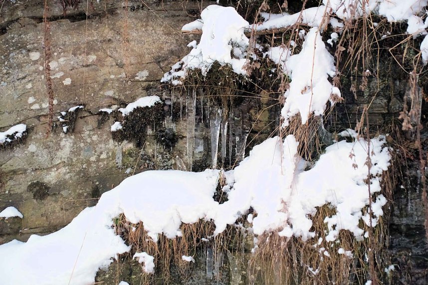 Winterlicher Harzausflug mit Kamera