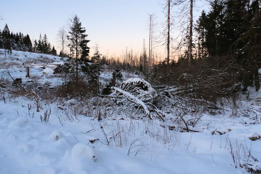 Winterlicher Harzausflug mit Kamera