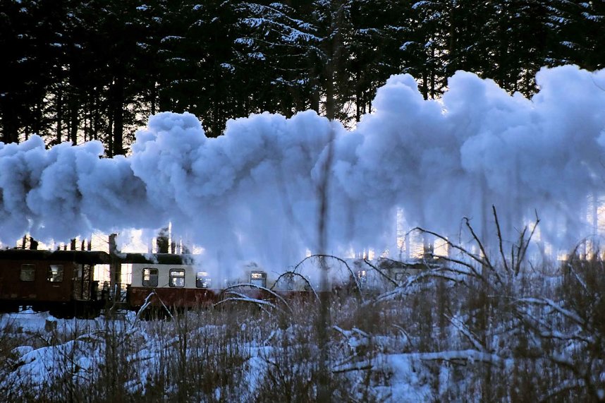Winterlicher Harzausflug mit Kamera