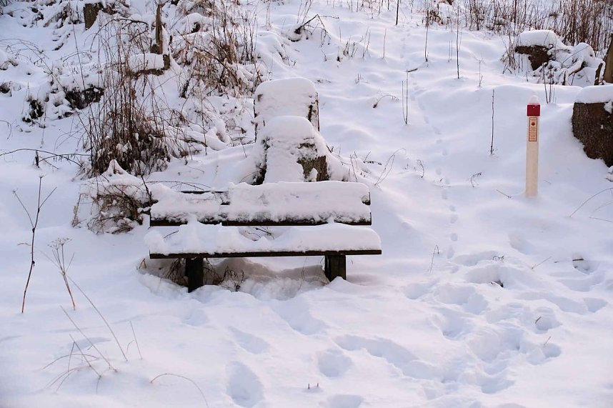 Winterlicher Harzausflug mit Kamera