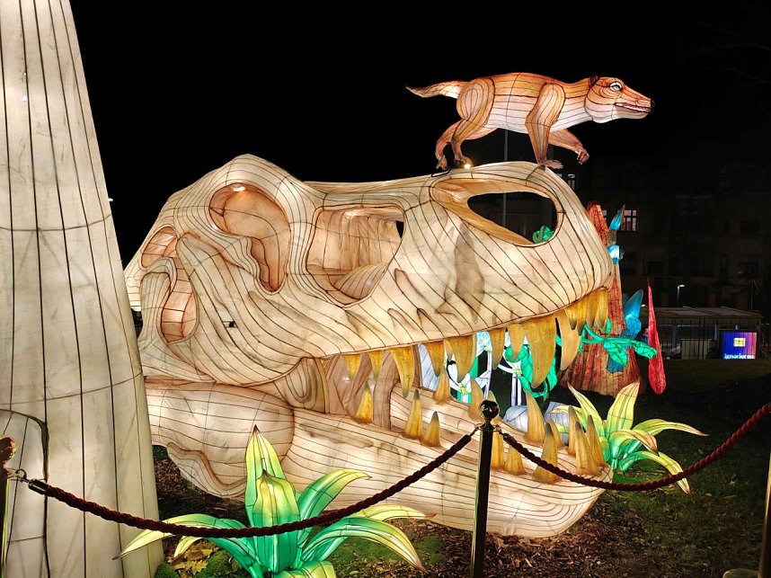 Magische Lichterwelten in Halle