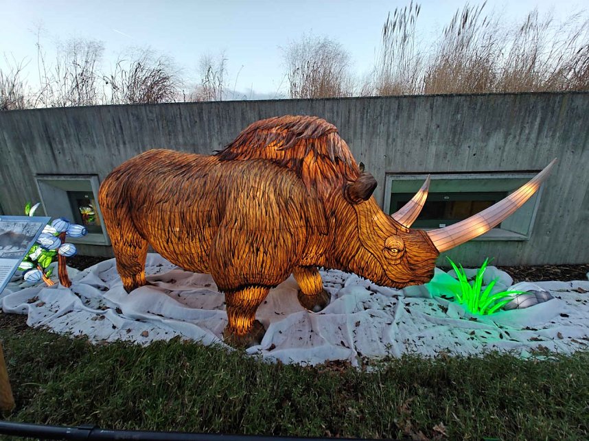 Magische Lichterwelten in Halle