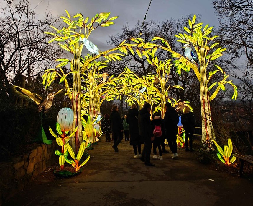 Magische Lichterwelten in Halle