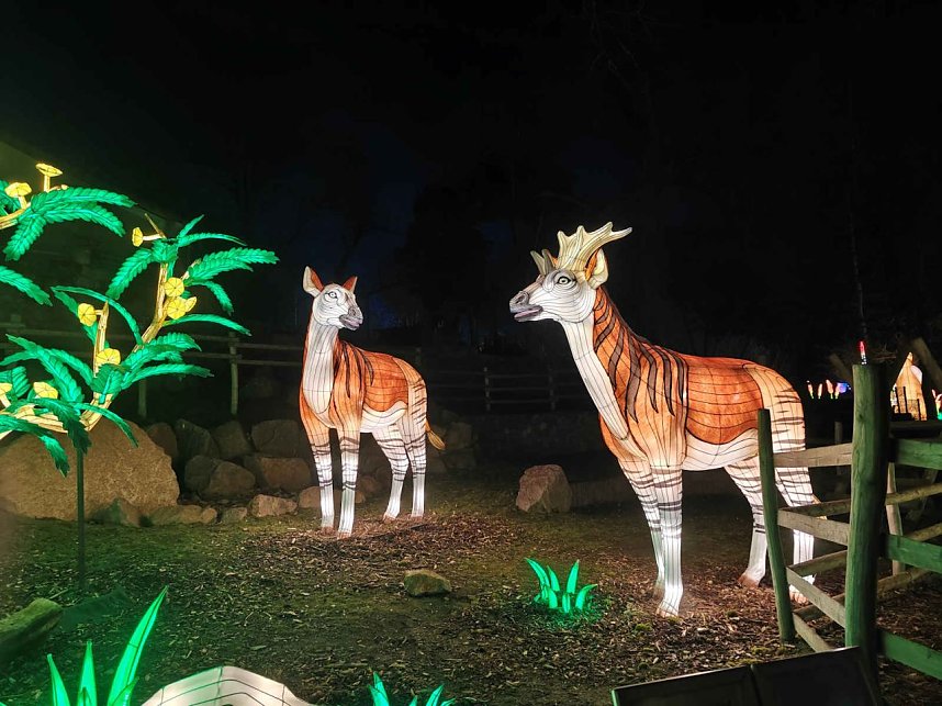 Magische Lichterwelten in Halle