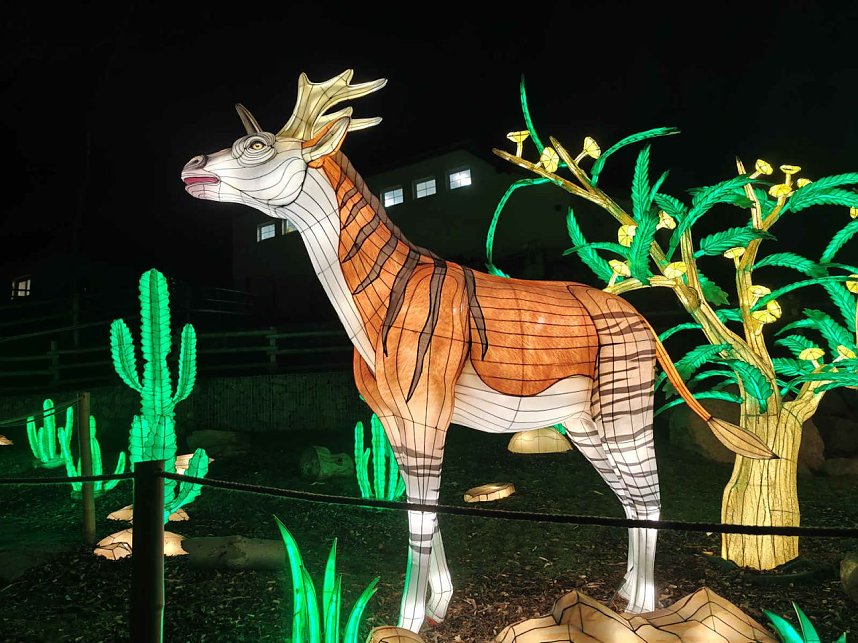 Magische Lichterwelten in Halle