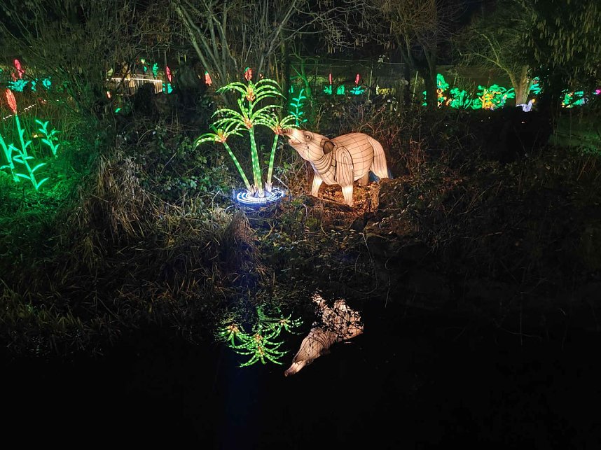 Magische Lichterwelten in Halle