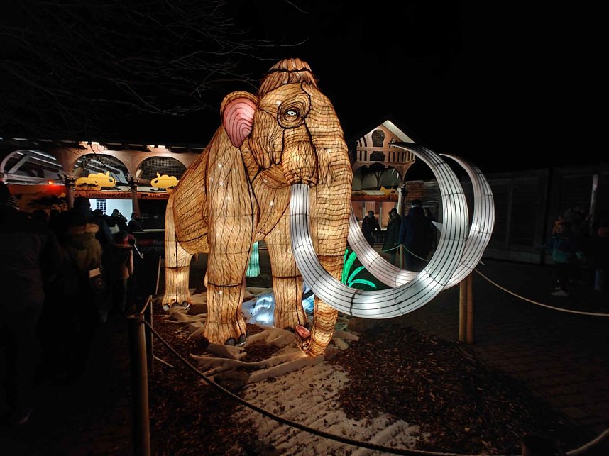 Magische Lichterwelten in Halle