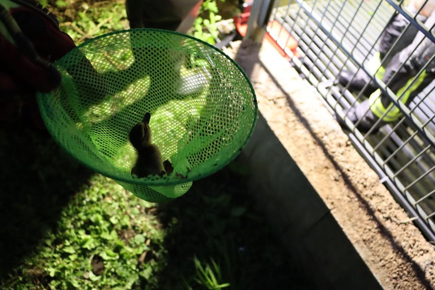 K&uuml;kenrettung am Abend