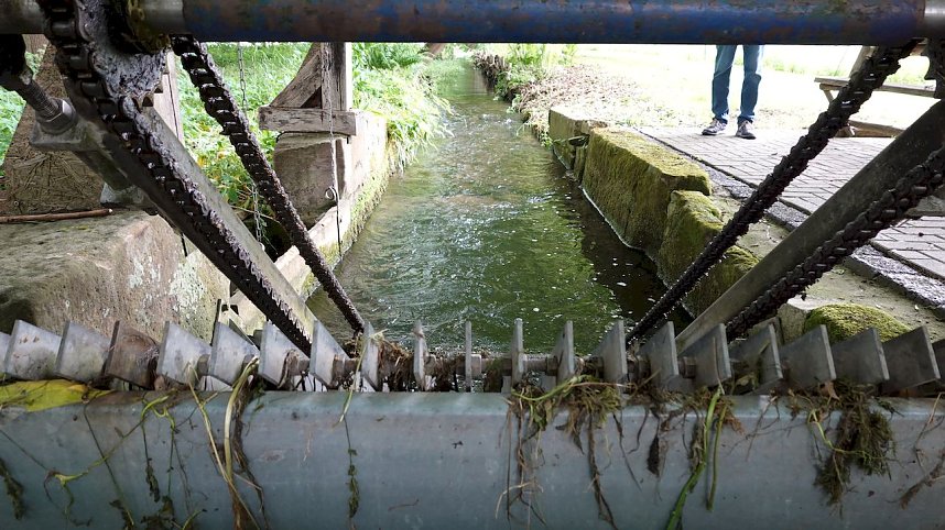Gro&szlig;es Interesse in Worbiser B&uuml;schlebsm&uuml;hle