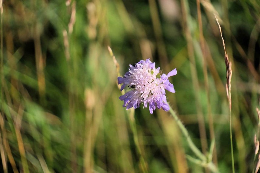 Peter Blei unterwegs im S&uuml;dharz