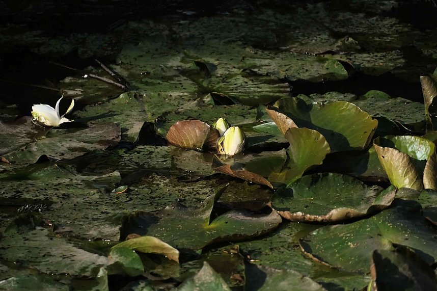 Peter Blei unterwegs im S&uuml;dharz