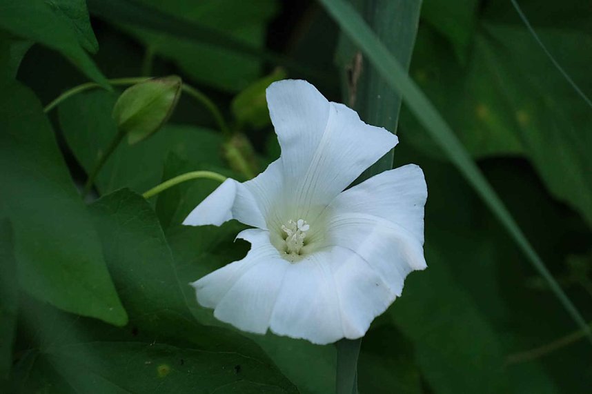 Peter Blei unterwegs im S&uuml;dharz