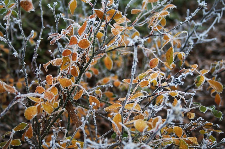 Winterlandschaft bei Kelbra