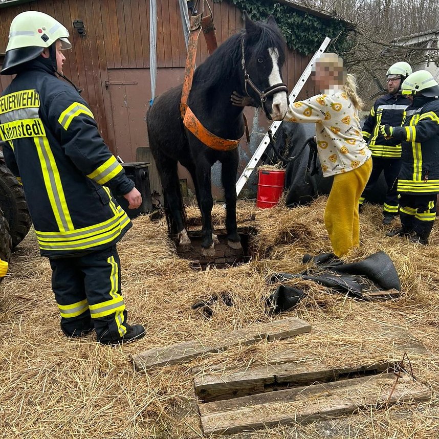 Das Pferd war in eine fr&uuml;here, jetzt leere, G&uuml;llegrube gerutscht.
