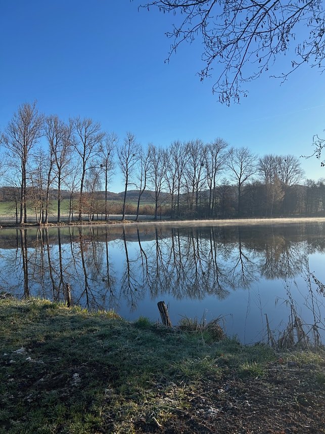 Teiche zwischen Ellrich und S&uuml;lzhayn (Foto 2-4)