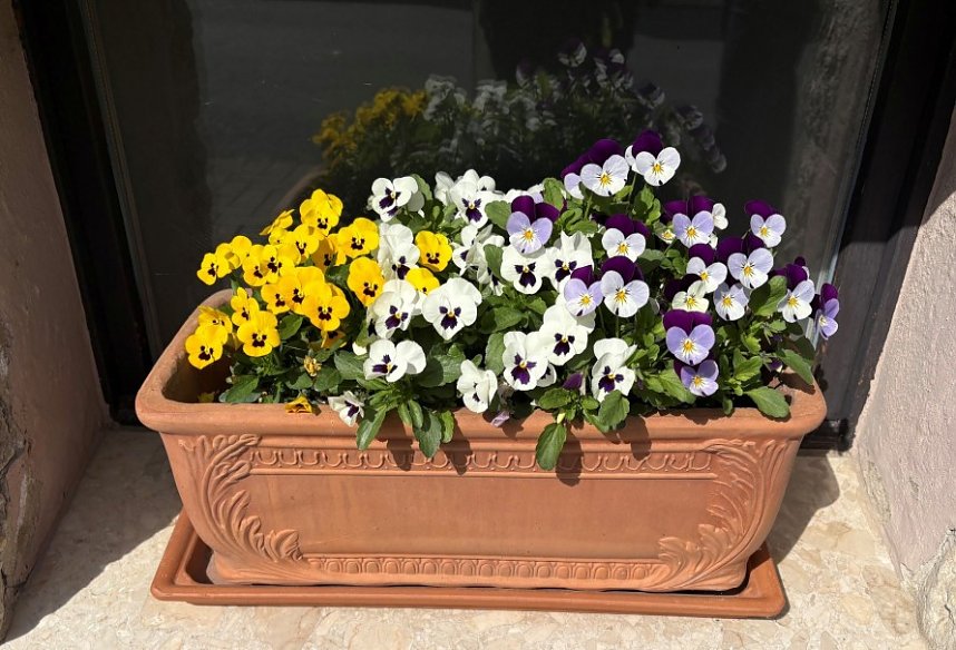 Bild des gestohlenen Blumenkasten