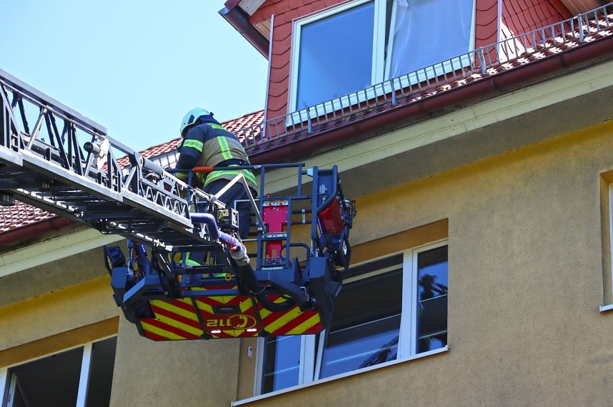 Ein Mauersegler war in Heiligenstadt in Gefahr geraten. 
